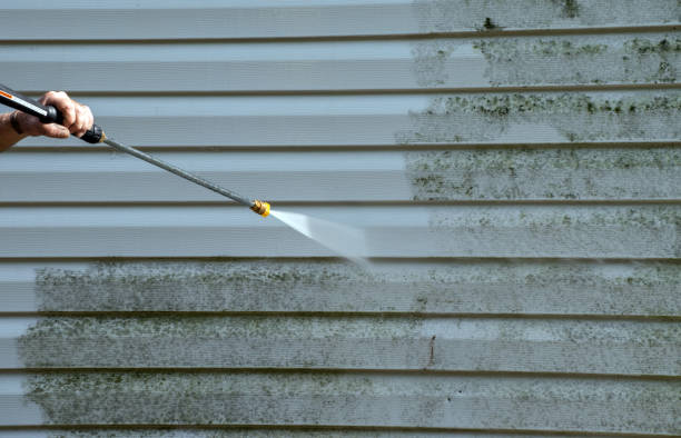 Certified Mold Removal in Lockney, TX