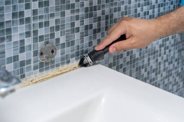 Best Mold Damage Repair  in Lockney, TX